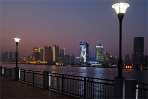 Global Participation of the Shanghai Forum： Jointly Building a Green, Intelligent, and Sustainable Future City!